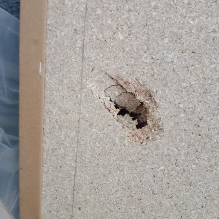 Epttavm Kusurlu Ürün ve Geciken Ücret İadesi Nedeniyle Mağduriyet