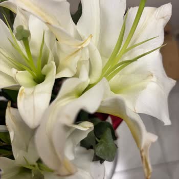 Solmuş Çiçek Ve Erimiş Çikolata Teslimatı Sonrası Çözüm Sunulmadı