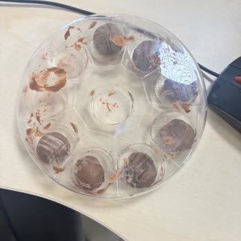 Solmuş Çiçek Ve Erimiş Çikolata Teslimatı Sonrası Çözüm Sunulmadı