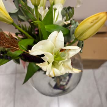 Solmuş Çiçek Ve Erimiş Çikolata Teslimatı Sonrası Çözüm Sunulmadı