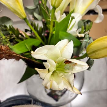 Solmuş Çiçek Ve Erimiş Çikolata Teslimatı Sonrası Çözüm Sunulmadı