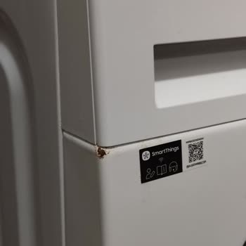 Samsung Çamaşır Makinesinde Boya Atması Ve Paslanma Garanti Kapsamına Alınmadı