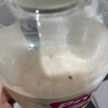 Vücut Losyonunda Böcek Çıkması Nedeniyle Güven Kaybı Ve Sağlık Endişesi