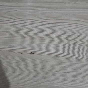 Dyson V8 Süpürge Parkelerimi Zarar Veriyor, Mağduriyetim Giderilmiyor