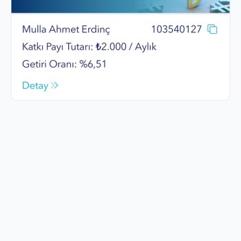 BES İptalinde Yetersiz Destek Ve Para İadesi Sorunu