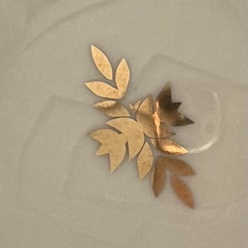 Porland Palms Yemek Takımında Kısa Sürede Desen Silinmesi Ve Yetersiz Müşteri Hizmeti