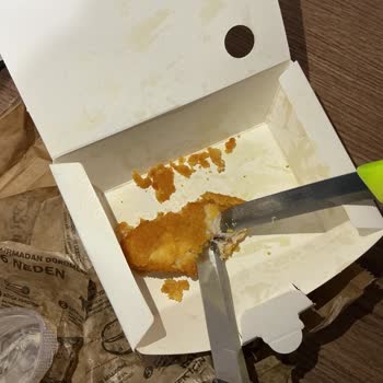 Dürümle Siparişimde Böcek Çıktı Hijyen Skandalı Yaşadım