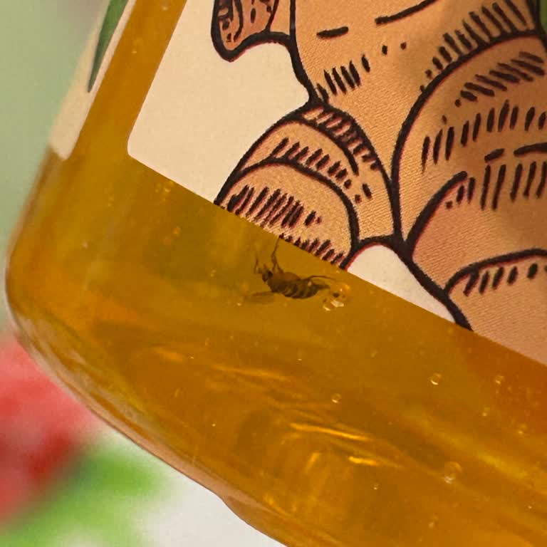 Duş Jelinden Arı Çıkmasıyla Yaşadığım Şok Ve Mağduriyet