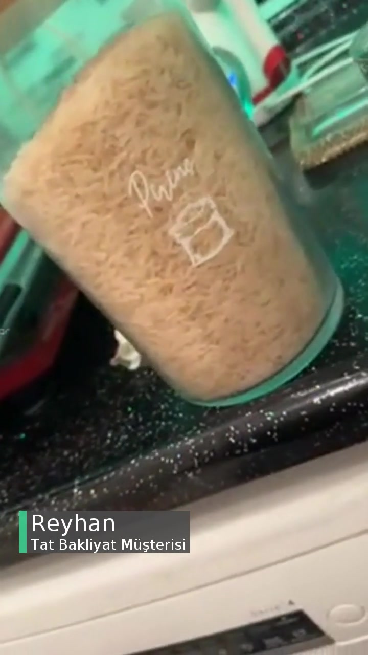 Tat Basmati Pirinçte Böcek! videonun kapak resmi