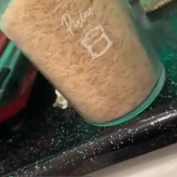 Tat Basmati Pirinçte Böcek!