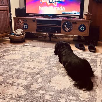 Aldığım Halının Fiyatı Kısa Sürede Düştü, Mağdur Edildim!