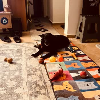 Aldığım Halının Fiyatı Kısa Sürede Düştü, Mağdur Edildim!