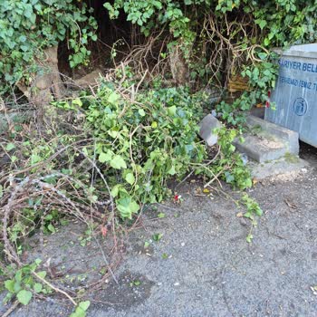 Yeniköy Dişbudak Sokakta Haftalardır Toplanmayan Ağaç Dalları Ve Atıklar Çevreyi Kirletiyor