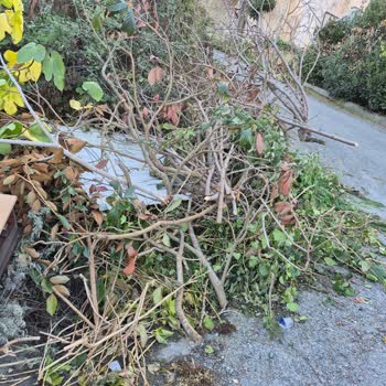 Yeniköy Dişbudak Sokakta Haftalardır Toplanmayan Ağaç Dalları Ve Atıklar Çevreyi Kirletiyor