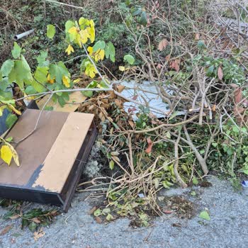 Yeniköy Dişbudak Sokakta Haftalardır Toplanmayan Ağaç Dalları Ve Atıklar Çevreyi Kirletiyor