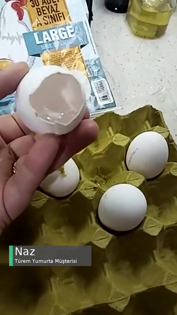Türem Yumurta Boş Çıktı videonun kapak resmi