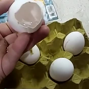 Türem Yumurta Boş Çıktı
