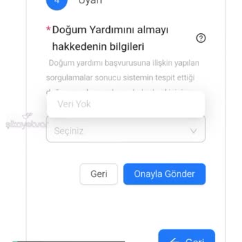 E-Devlet | Turkiye.gov.tr Doğum Yardımı Başvurusu