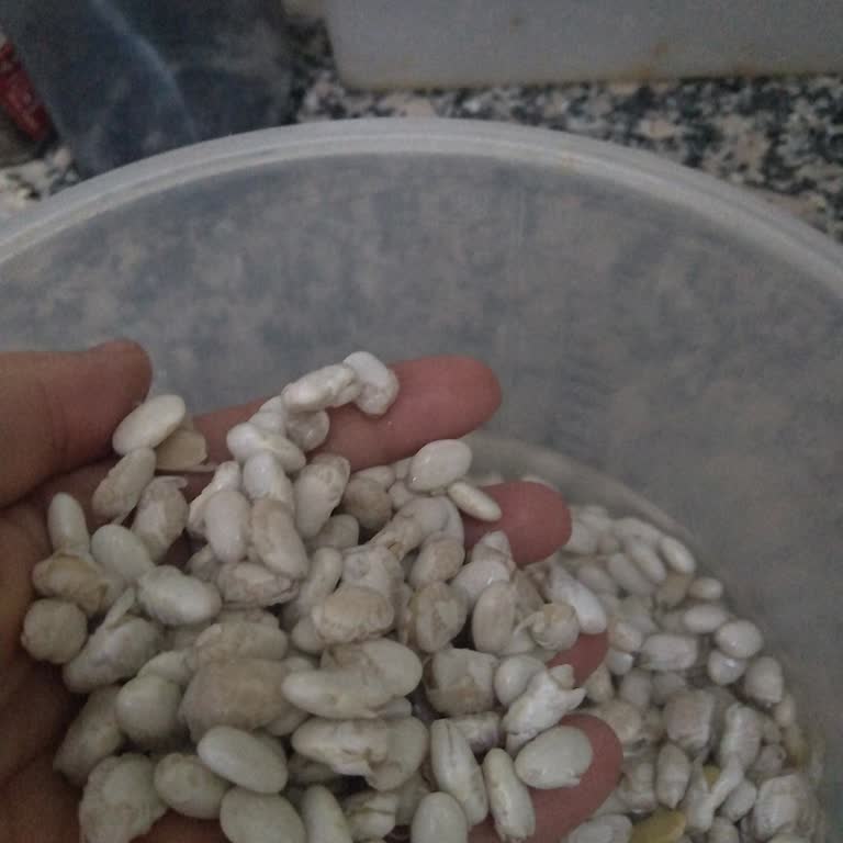 Aldığım Kuru Fasulye Hemen Dağıldı, Kabukları Soyuldu