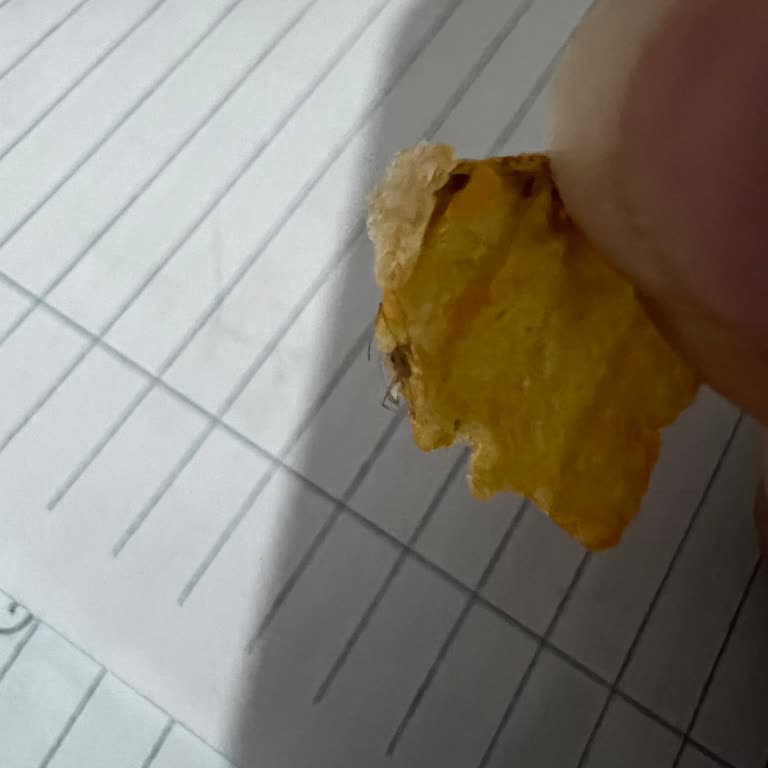 Cipso Baharatlı Cips Paketinden Örümcek Çıkması Ve Müşteri Hizmetlerinin Yetersizliği