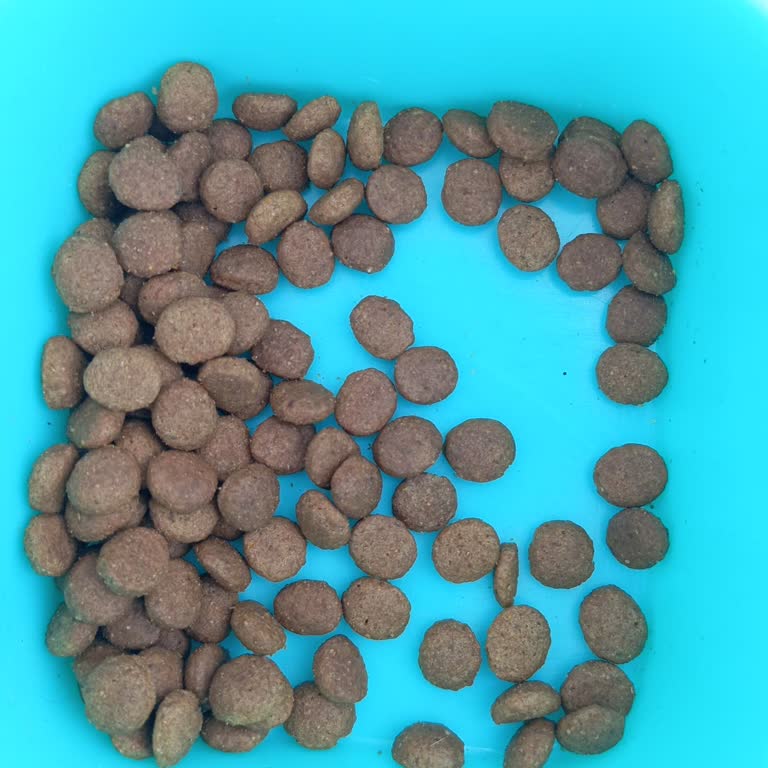 Complaint Regarding Suspected Counterfeit Royal Canin Sterilised 37 Cat Food