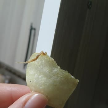 Cipsin İçinde Böcek Çıktı, Lays'tan Çözüm Bekliyorum