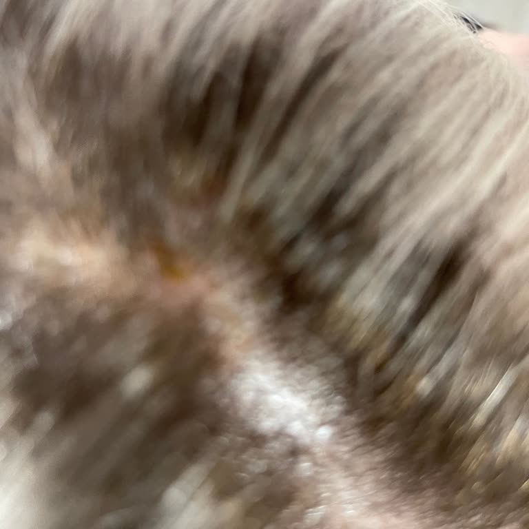 Saç Boyama İşleminde Yanma Ve Fatura Verilmemesi Nedeniyle Mağduriyet