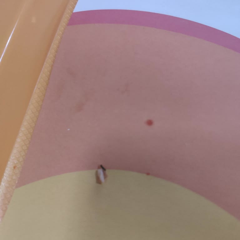 Hayal Kırıklığı Yaratan Hizmet Ve Kalite Sorunu