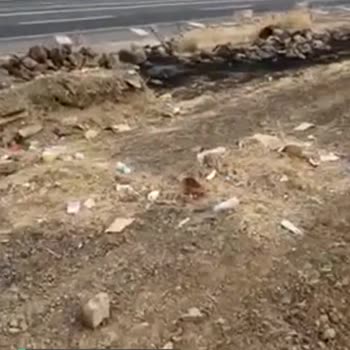 Karayolları Genel Müdürlüğü Şikayetim Var!