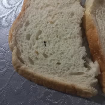 A101'den Aldığım Tost Ekmeğinde Hijyen Sorunu Ve İade Talebi