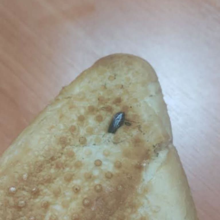 Aksu Ekmek Fabrikası Ekmekten Bir Parça Kopardığımda İçerisinden Böcek Çıktığını Fark Ettim