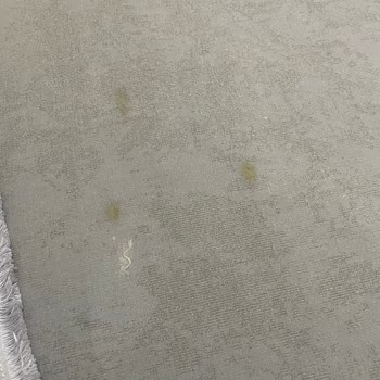 Halı Yıkamada Gecikme Ve Ciddi Deformasyon Sorunları Yaşadım