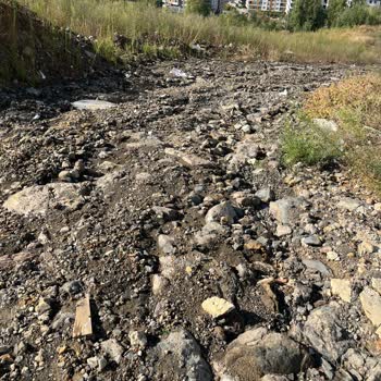 Uzun Süredir Onarılmayan Yol Ve Güvenlik Sorunu Nedeniyle Mağduriyet