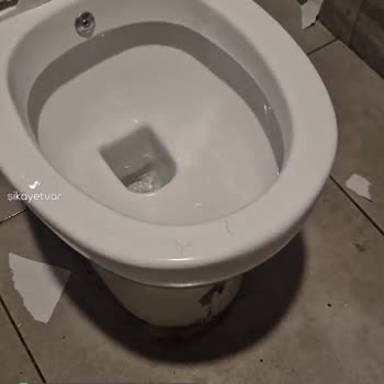 Penguen Kitabevi İçerenköy'de WC Sorunu