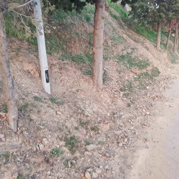 Foça Yollarında Süregelen İhmal: Temizlik, Aydınlatma Ve Güvenlik Sorunları Çözüm Bekliyor