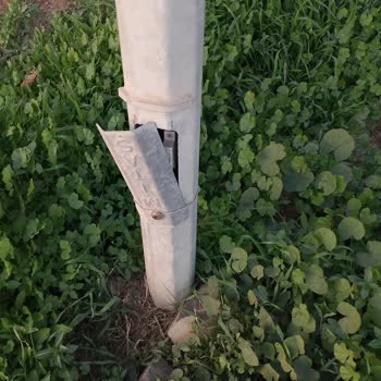 Foça Yollarında Süregelen İhmal: Temizlik, Aydınlatma Ve Güvenlik Sorunları Çözüm Bekliyor