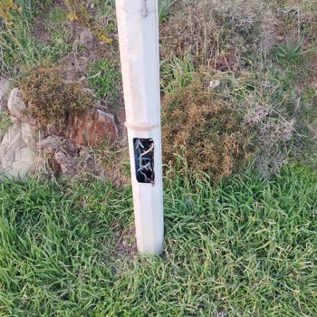 Foça Yollarında Süregelen İhmal: Temizlik, Aydınlatma Ve Güvenlik Sorunları Çözüm Bekliyor