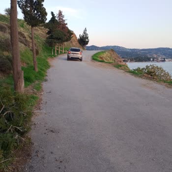 Foça Yollarında Süregelen İhmal: Temizlik, Aydınlatma Ve Güvenlik Sorunları Çözüm Bekliyor