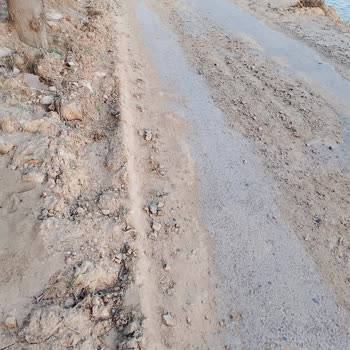 Foça Yollarında Süregelen İhmal: Temizlik, Aydınlatma Ve Güvenlik Sorunları Çözüm Bekliyor