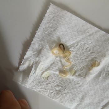 BİM Makarolli'den Çıkan Garip Cisim Hijyen Açısından Endişelendirdi!