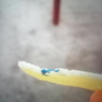 Aldığım Cips Paketinden Yabancı Madde Çıktı, Para İadesi Yapılmadı