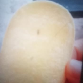 Aldığım Cips Paketinden Yabancı Madde Çıktı, Para İadesi Yapılmadı