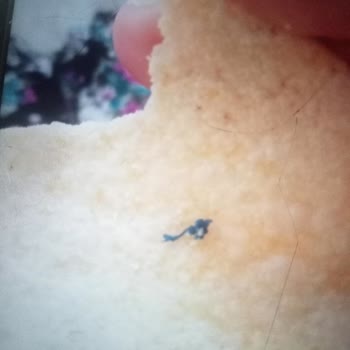 Aldığım Cips Paketinden Yabancı Madde Çıktı, Para İadesi Yapılmadı