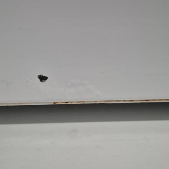 Yeni Alınan Siemens Çamaşır Ve Kurutma Makinesinde Kısa Sürede Küflenme Sorunu