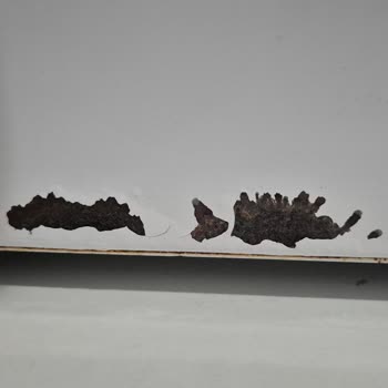 Yeni Alınan Siemens Çamaşır Ve Kurutma Makinesinde Kısa Sürede Küflenme Sorunu