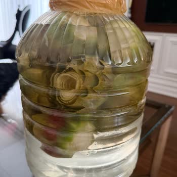 Bozuk E****** Ve Kötü Müşteri Hizmetiyle Hayal Kırıklığı