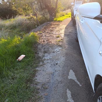 Aynı Su Arızası Aylardır Çözülmüyor Yol Ve Evler Çamur İçinde Kaldı