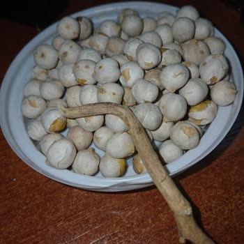 Beyaz Leblebiden Tahta Parçası Çıkması Güvenimi Sarstı