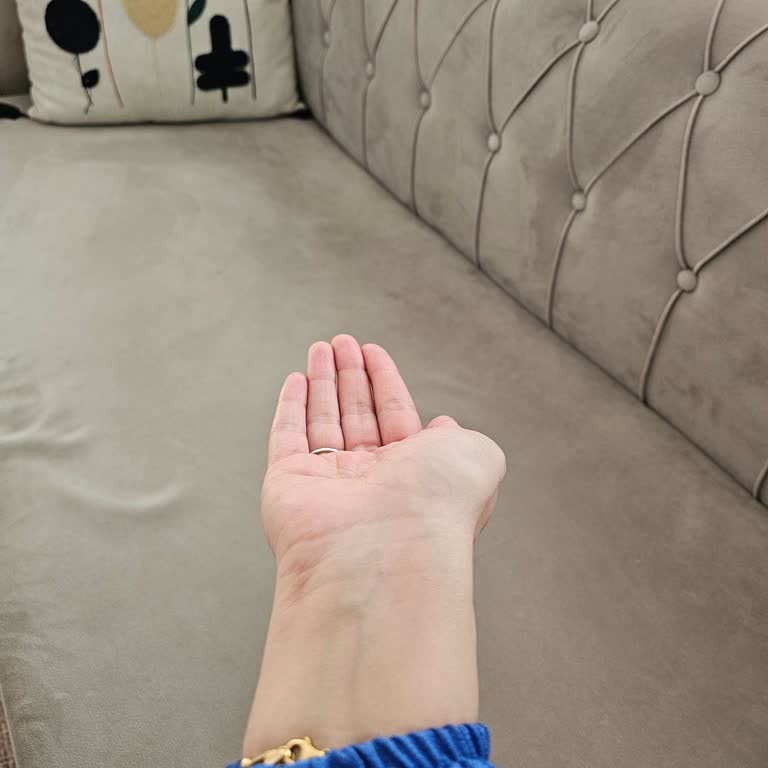 Teslim Edilmeyen Sipariş, Ulaşılamayan Müşteri Hizmeti: Karaca Ve PTT Hayal Kırıklığı