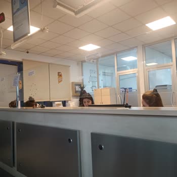 Tüvtürk Diyarbakır İstasyonunda Personel Davranışları Ve Hizmet Kalitesi Sorunu